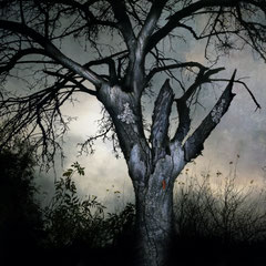 GHOSTS FROM THE PAST (PART II)