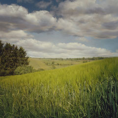 FIELD STUDY #37