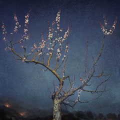 <span style="font-family: Ubuntu Condensed; letter-spacing:0.3em;">WHEN SPRINGTIME RETURNS (REMIX)</span><br>