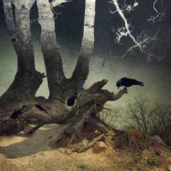 ON DARK WINGS | PART VII