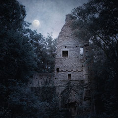 THE MONASTERY
