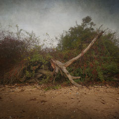 AUTUMN VEIL - PART XiV