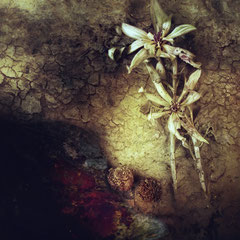 LES FLEURS DU MAL