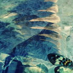 WINGS III