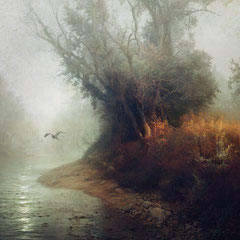 <span style="font-family: Ubuntu Condensed; letter-spacing:0.3em;">AUTUMN WINGS IV (REMIX)</span><br>