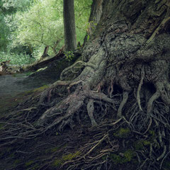 FOLLOWING LOST RIVERS II