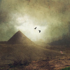 <span style="font-family: Ubuntu Condensed; letter-spacing:0.3em;">VISIONS OF EGYPT</span> </p>