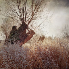 SO COLD (WARM VERSION)