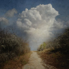 PATH & CLOUD