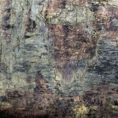 TEXTUROLOGIE 63
