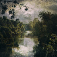 SILVER MORNING BY THE RIVER