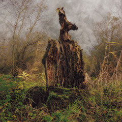TOTEM