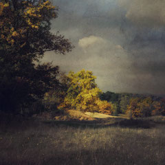 IN A SILENT WAY