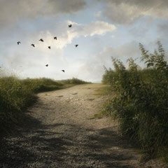 NINE CROWS