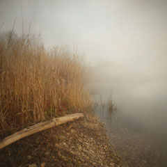 AUTUMN VEIL - PART XIX