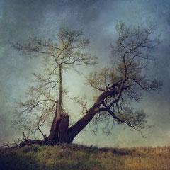 WANDERING DAYS