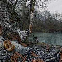 THE SCENT OF A FROZEN RIVER (PART II)