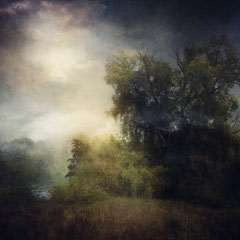 AM UFER VII