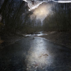 LEAVES UNDER ICE