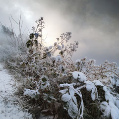 <span style="font-family: Ubuntu Condensed; letter-spacing:0.3em;">WINTER IS CLOSE V</span><br>