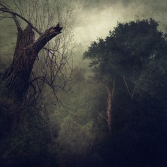 THE LAND OF NOD