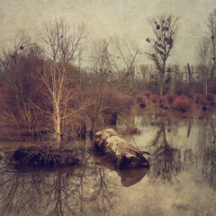 THE DROWNING WORLD PART VIII