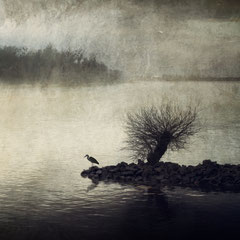 WINTER SOLITUDE