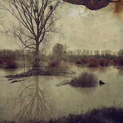 THE DROWNING WORLD PART VI
