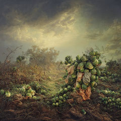 <span style="font-family: Ubuntu Condensed; letter-spacing:0.3em;">ROSENKOHL (REMIX)</span><br>