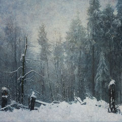 WAKING IN WINTER