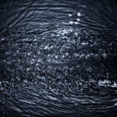 WATER 13