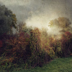 TRANSITIONS II