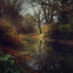 FOLLOW THE KINGFISHER