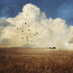 EIGHT DOVES