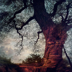 <span style="font-family: Ubuntu Condensed; letter-spacing:0.3em;">THE CRIMSON KING (REMIX)</span><br>