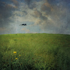 MAGPIE