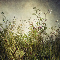 RANDOM PLACES #28