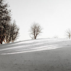 INTO WHITE