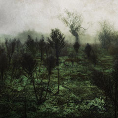 ONE MISTY MOISTY MORNING
