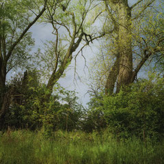 ALONG THE PERIPHERY
