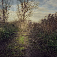 DEAD END
