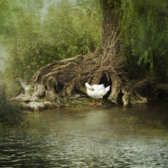 THE HIDEAWAY