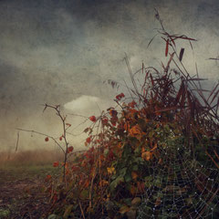 GHOSTLAND III
