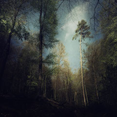 SKYWARDS