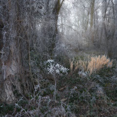 WINTER SPIRITS