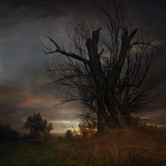 <span style="font-family: Ubuntu Condensed; letter-spacing:0.3em;">FIELD, DAYBREAK (REMIX)</span><br>