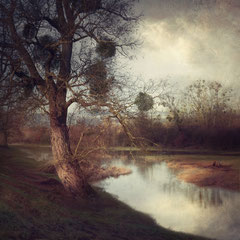 RECEDING FLOOD I