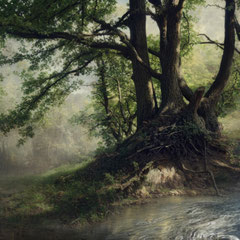 QUERCUS