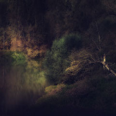 THE COMING OF FALL