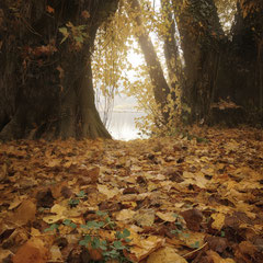 AUTUMN VEIL - PART XIII